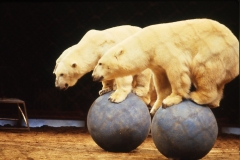 Böttcher_1