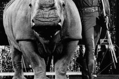 CK_Moira-Orfei_Jumba