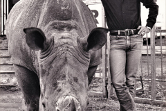 Charles_Knie_Barum_Tsavo_5