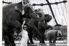 1938-Knie-12Charles-Knie