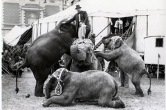 1938-Knie-14Charles-Knie