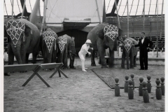 1938-Knie-15Charles-Knie-2