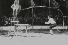 1971_Dieter_Farell_01-Kopie