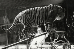 1971_Dieter_Farell_04_KRONEBau