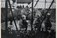 1944_Elefantenherde_3on-Kopie