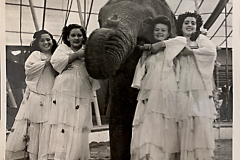 1942_Elefantenballett_1_AAA