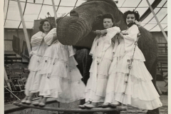 1942_Elefantenballett_B