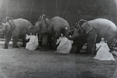1942_Tanzende_Damen_Tanzende-Elefanten_1Aon