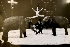 1962_Elefantenballett_10_on