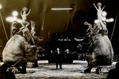 1962_Elefantenballett_11_on