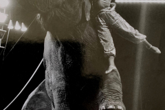 1962_Elefantenballett_2_on