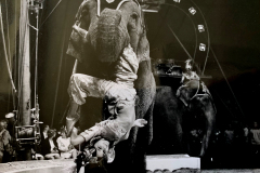 1962_Elefantenballett_4_on