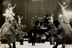 1962_Elefantenballett_5_on