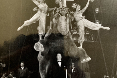 1962_Elefantenballett_7_on