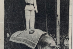 1944_Eliane-Knie_Oedipus_gross