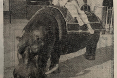 1944_Eliane_Oedipus_2