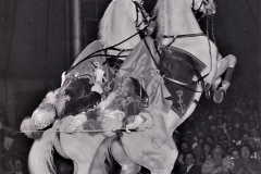 1956_Eliane_Barock_HS_2