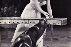 1957_Eliane_Seeloewen_2