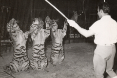 1960_Eugen_Weidmann_FHagenbeck_02_bearb