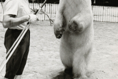 1962_Eugen_Weidmann_bearb