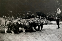 1964_Gilbert_Houcke_3sw_online