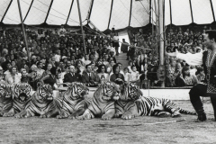 1969_Gilbert_Houcke_04_bearb