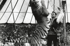 1969_Gilbert_Houcke_Madras_05_bearb