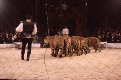 1964_Gilbert_4