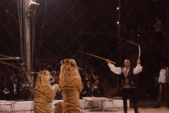 1964_Gilbert_5