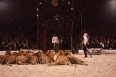 1964_Gilbert_6