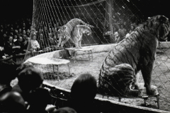 1964_Gilbert_Houcke_03_bearb