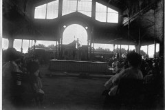 10_Knie_Glasneg_9x12.cm_