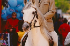 Jubi-Umzug-1994_FKsen