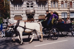 Jubi-Umzug-1994_Walter