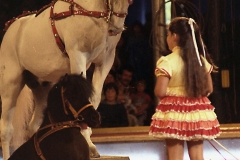 Geraldine_Gross_Klein_81