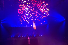 Kinetic_Balls_Collection_22