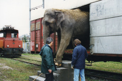 1998_Franco_Sascha_Tierauslad_Patma
