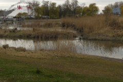 2022_Kreuzlingen_08