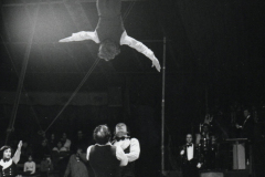 1979_Nicolodis_02_bearb