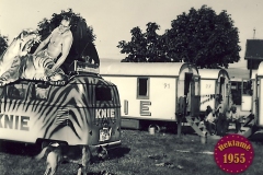 1955_Reklame_Bus