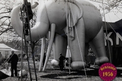 1956_Reklame_Elefant