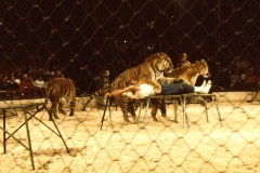 1970_Wiesner_1