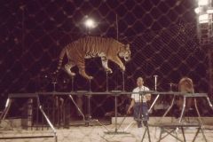 1970_Wiesner_4