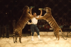 1970_Wiesner_5