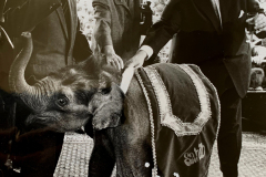 1963_Sahib_Fridolin_Taufe_1_on