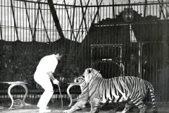 1951_Trubka_10