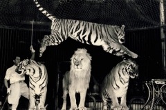 1951_Trubka_2