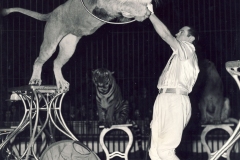 1951_Trubka_4