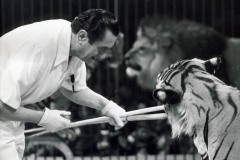 1951_Trubka_6