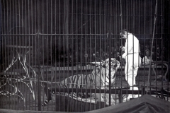 1951_Trubka_7